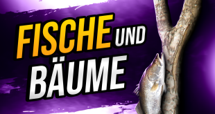 Fische auf Bäumen